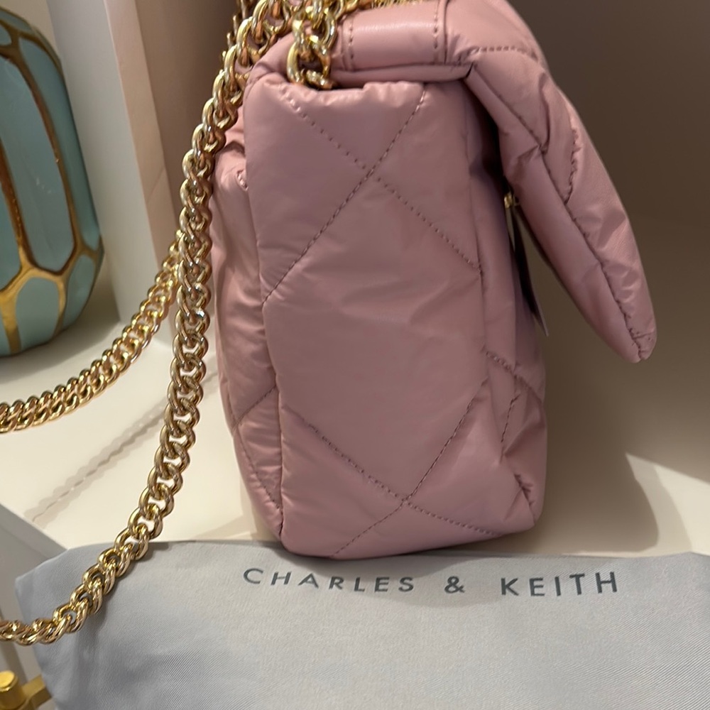 Charles & Keith Pink Quilted Chain Bag - Picture 11 of 14